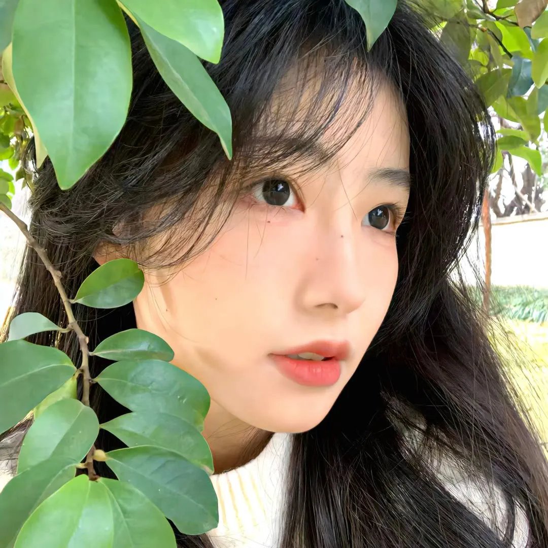 尚迪戈尔的陌生人
